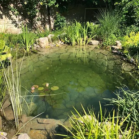 U Jezírka Velke Prilepy