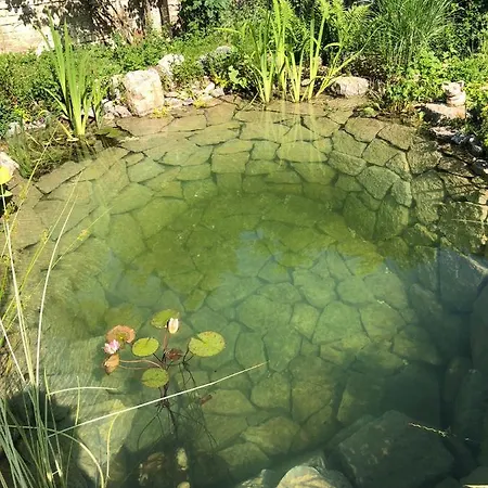 U Jezírka Apartmán