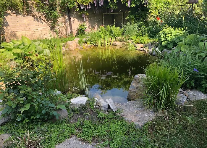 Apartament U Jezirka Velke Prilepy