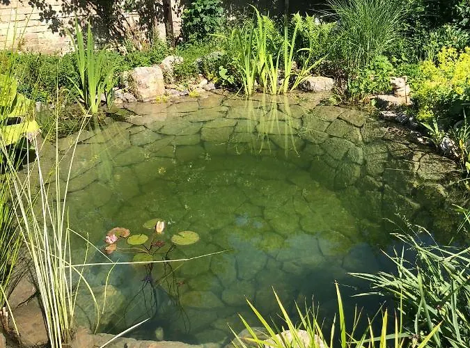 U Jezirka Velke Prilepy