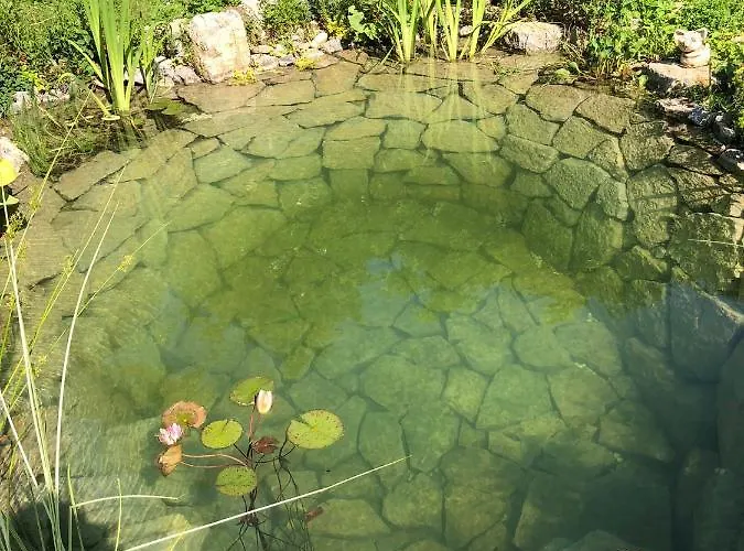 U Jezírka Apartamento